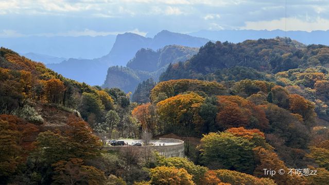 wang cang xian yan jing he sen lin gong yuan