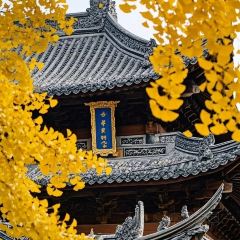 欢乐蟹庄·精品农家乐(阳澄湖莲花岛店) User Photo