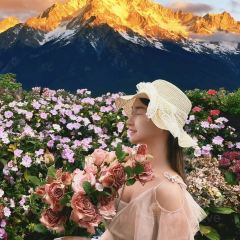 屋顶咖啡·日落甜茶·雪山花园 ·bistro User Photo