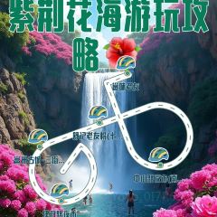 YONGWEILAOYOU User Photo