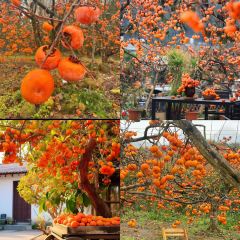 瑶乡饭店 User Photo