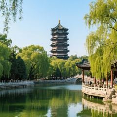 杨记灌肠(食品街店) User Photo