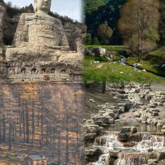 清和元(五龙口街店) User Photo