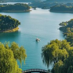 杞兴东莞烧鹅(石井路店) User Photo