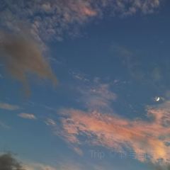 Orangutan Bunker User Photo