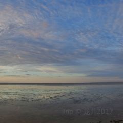 海上明月大酒店 User Photo