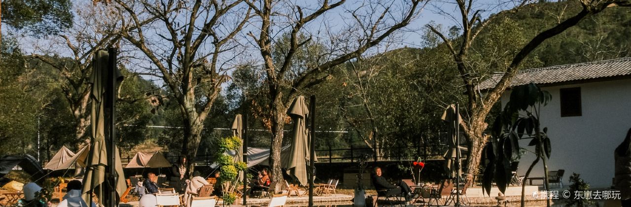 深林之梦·咖啡