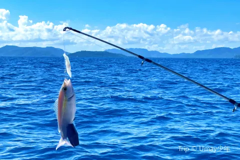 Sea Angling in Semporna