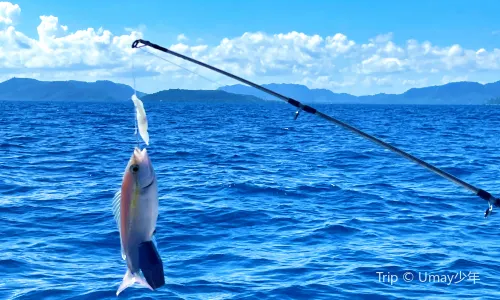 Sea Angling in Semporna