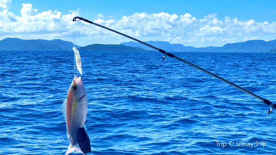 Sea Angling in Semporna