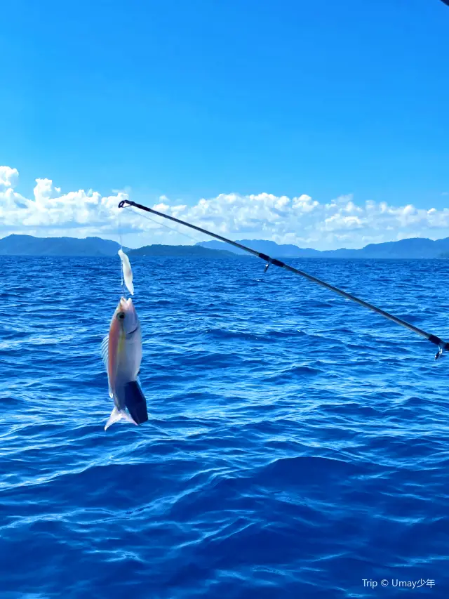 Sea Angling in Semporna