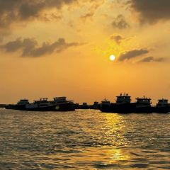 The Manhattan Fish Market User Photo