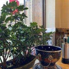 XIAO GUI LIN SHAO GE ZI QUAN GUO ZONG DIAN User Photo