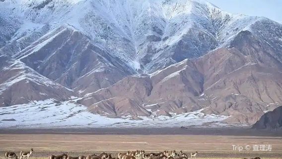 Altun Mountain Nature Reserve