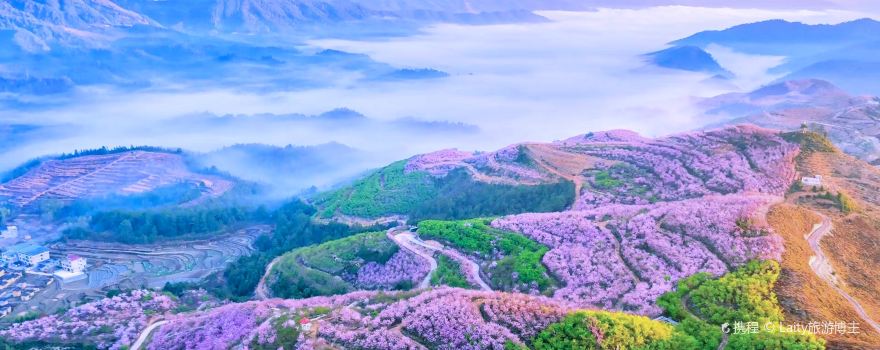 福建三明旅游攻略:探秘闽中明珠的魅力之旅 福建三明旅游攻略:探秘闽中明珠的魅力之旅