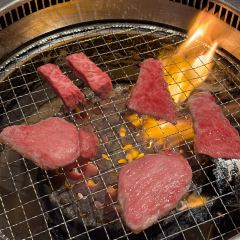 Nikuichi User Photo