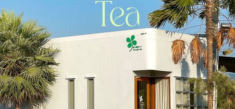Yotsuba Tea