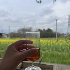 花園主義（九里拾院店）張用戶圖片