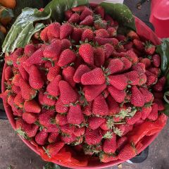 嘉里饭庄 User Photo