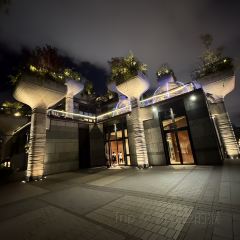 新顺记(千树花园店) User Photo