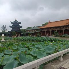 YING JIE XIAOCHI User Photo
