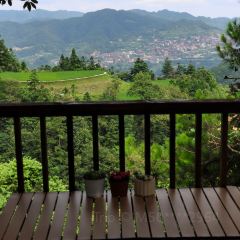 一山树屋咖啡营地 User Photo