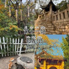 YIPIN PIAO XIANG User Photo