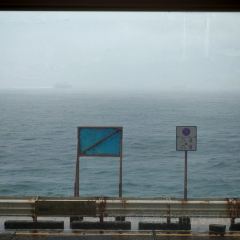 % Arabica User Photo