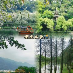 鼎湖山酒家 User Photo