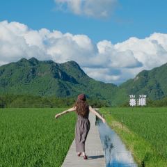 在发呆·lan's浪肆咖啡庄园 User Photo
