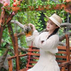 鲸鱼先生餐厅(福州欧乐堡海洋世界店) User Photo