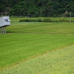 PanDaSao SEAFOOD User Photo