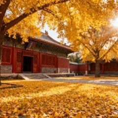 LAO BAO DING User Photo