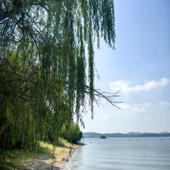 YU YAN LOU User Photo