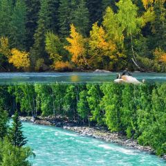 新疆风味土火锅快餐 User Photo