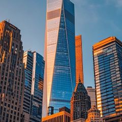 AWU YELLOW RIVER COMMON CARP 여행 사진