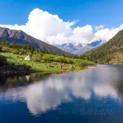 MALAYA TIBETAN RESTAURANT User Photo