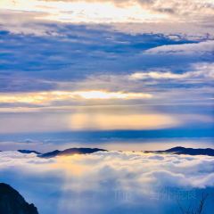 DE YUE LOU User Photo