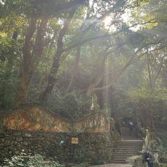 RONG CUISINE 여행 사진