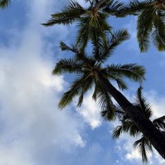 Monkeypod Kitchen by Merriman User Photo