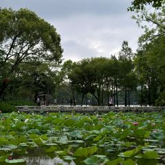 luckincoffee瑞幸咖啡（華貿大廈店）張用戶圖片