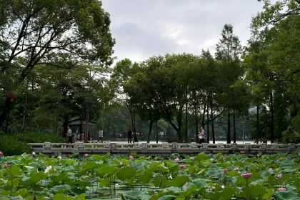 luckincoffee瑞幸咖啡（華貿大廈店）