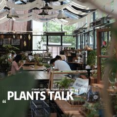 北马山庄植趣咖啡 User Photo