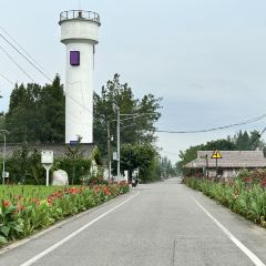 Fanpu Life User Photo