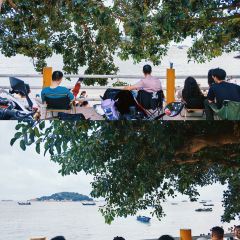 海边有棵树 여행 사진