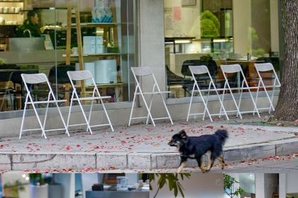 GOOD GOODS咖啡店(南园店)