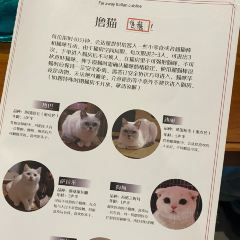 邈一kitchen喵呜餐厅(江北店) User Photo