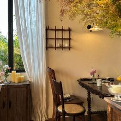 不老的花园 User Photo
