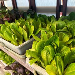 鼎尚养生火锅店 User Photo