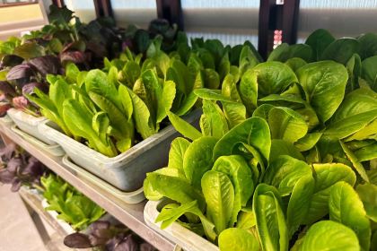 鼎尚养生火锅店